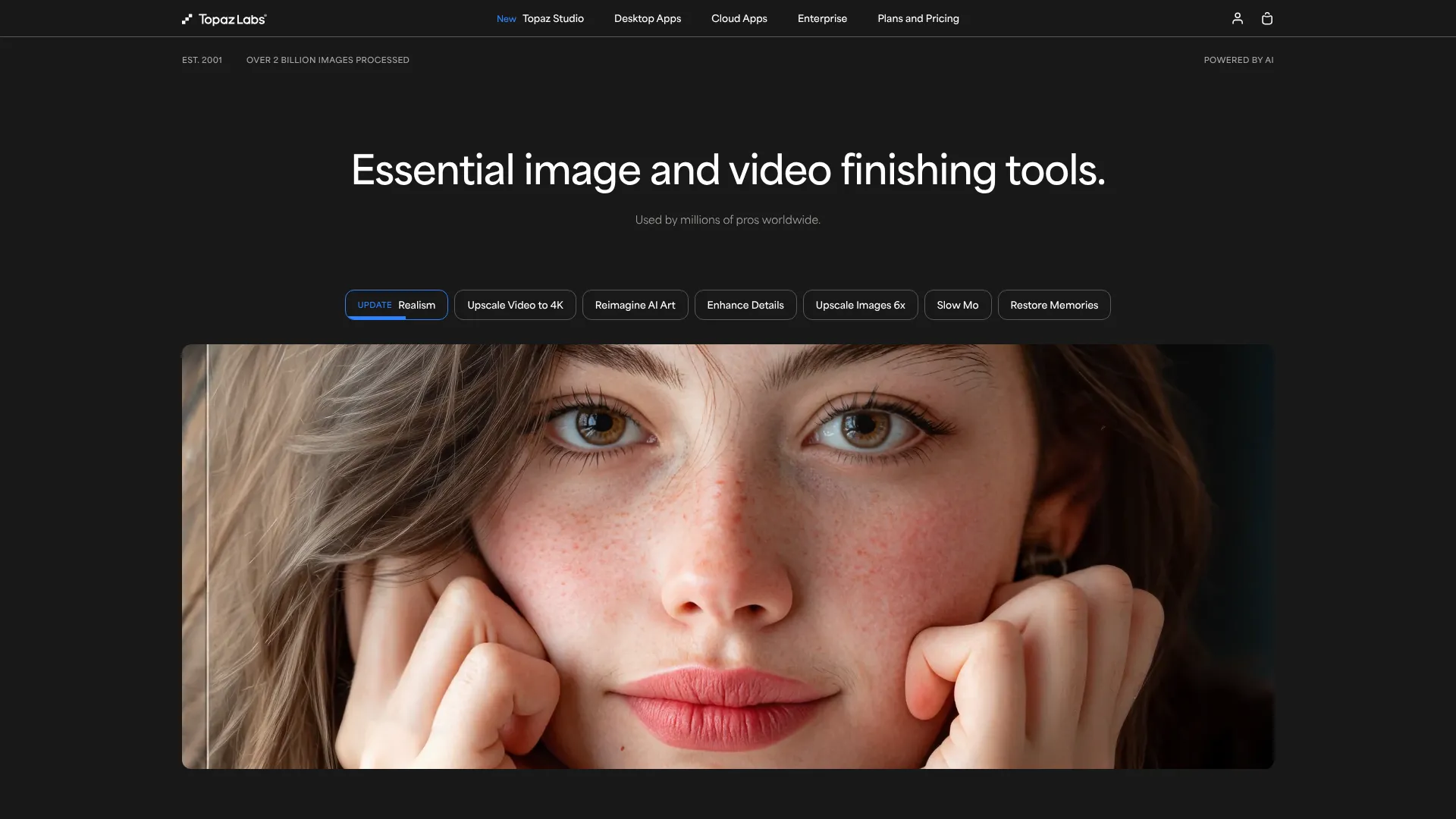 Topaz Labs | i10X