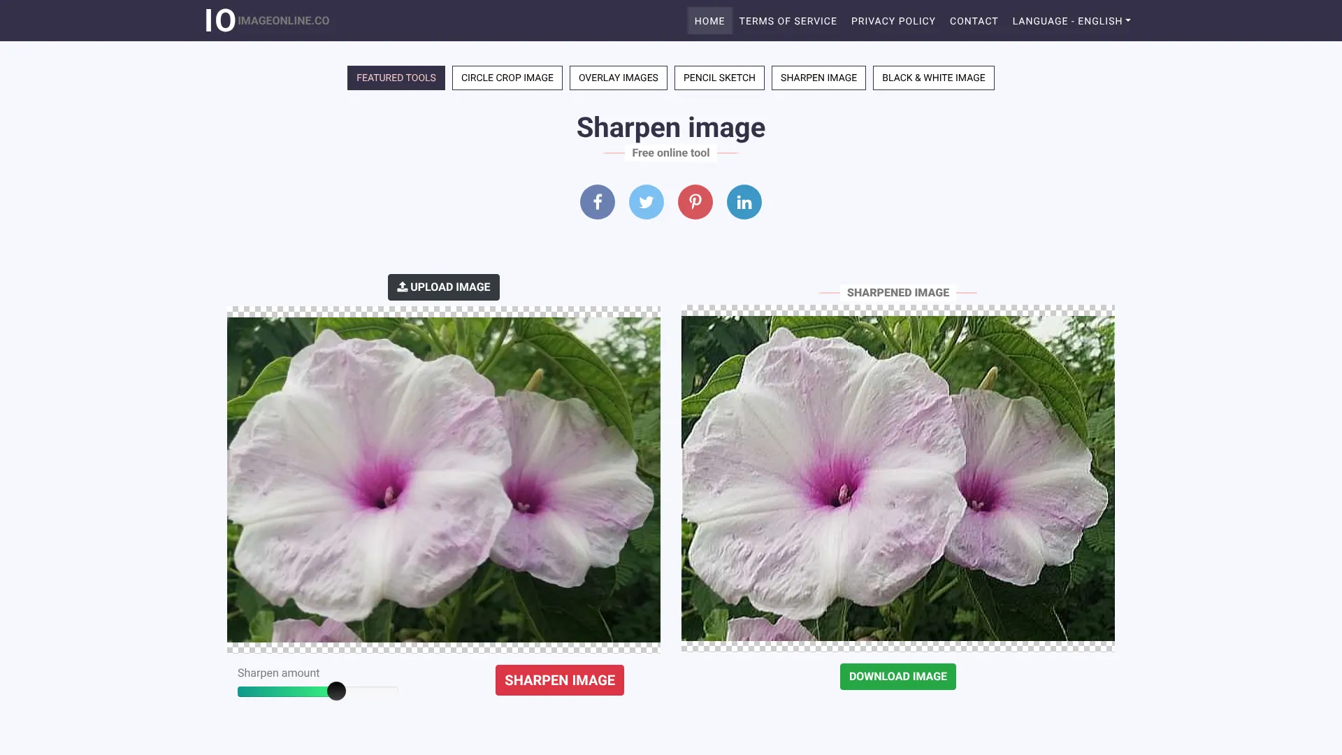 Sharpen image | i10X